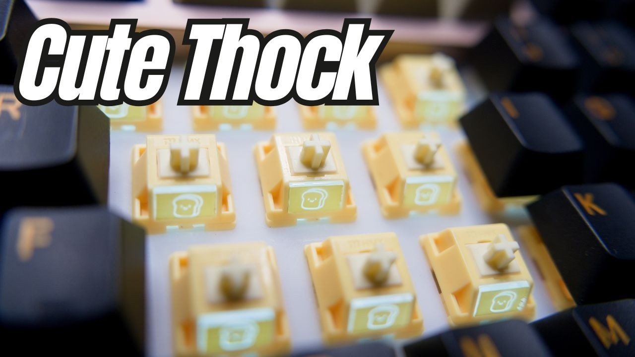 Who can say NO to Cute Thock? HMX Toas