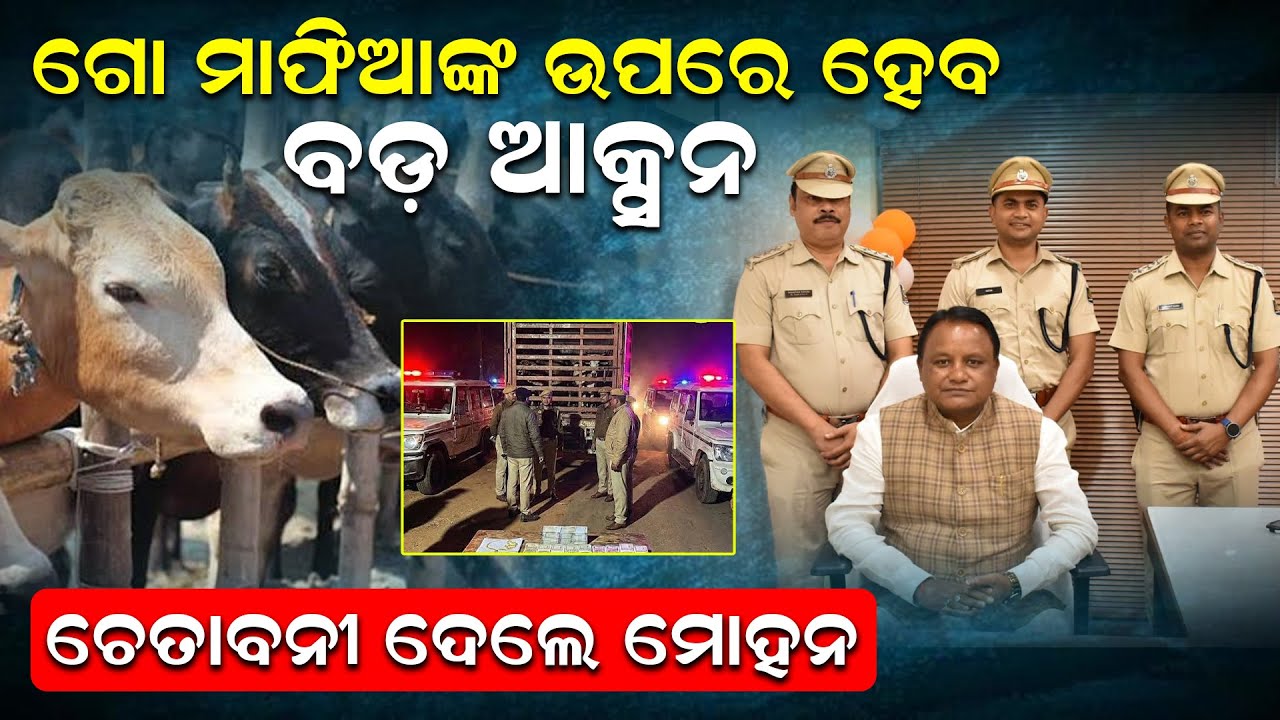 ଗୋ-ମାଫିଆଙ୍କ ଉପରେ ହେବ ବଡ ଆକ୍ସନ, ଚେତାବନୀ ଦେଲେ ମୋହନ | CattleSmuggling  | Cmo Odisha | News Room |