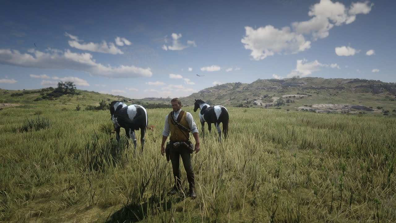 How to get a (male, female) Hungarian Halfbred Piebald Tobiano(Chapter 2), Easy!!