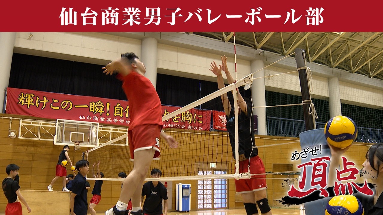 めざせ！頂点【2026年9月19日放送】仙台商業 男子バレーボール部