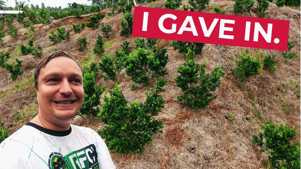 I Kept A SECRET About The Calamansi Farm (Philippines Business)