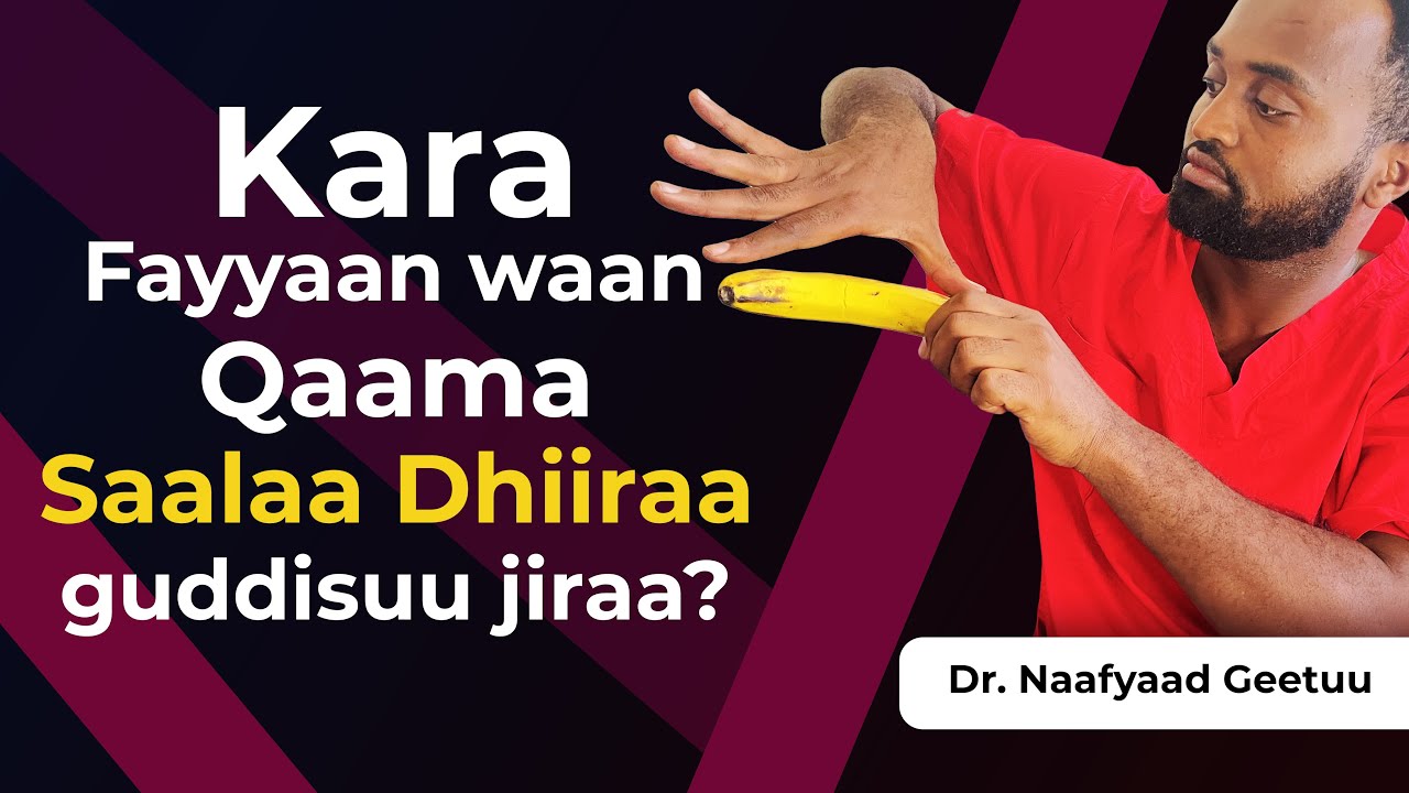 Qaamni saalaa Kiyya xiqqaadha| akkamiin guddisu?