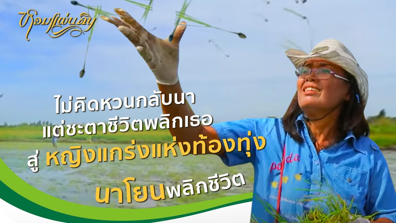 หอมแผ่นดิน ตอน หญิงแกร่งแห่งท้องทุ่ง | ไม่คิดจะหวนกลับนา แต่ชะตาชีวิตพลิกเธอสู่หญิงแกร่งแห่งท้องทุ่ง