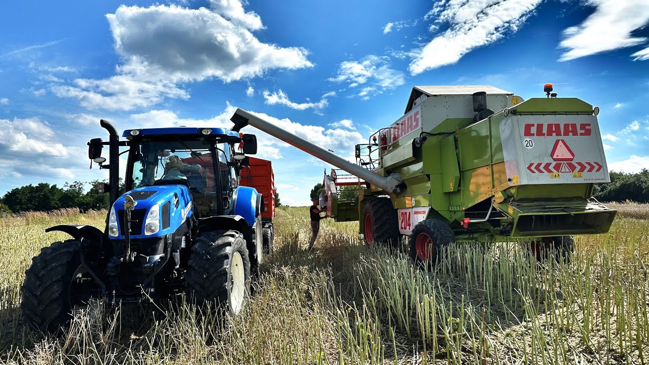 Żniwa 2023 - Rzepak | Claas Mega 204 🔥GR Suchan & GR Konik 🇵🇱
