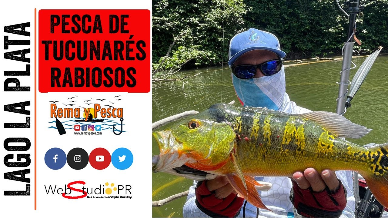 Pesca de 