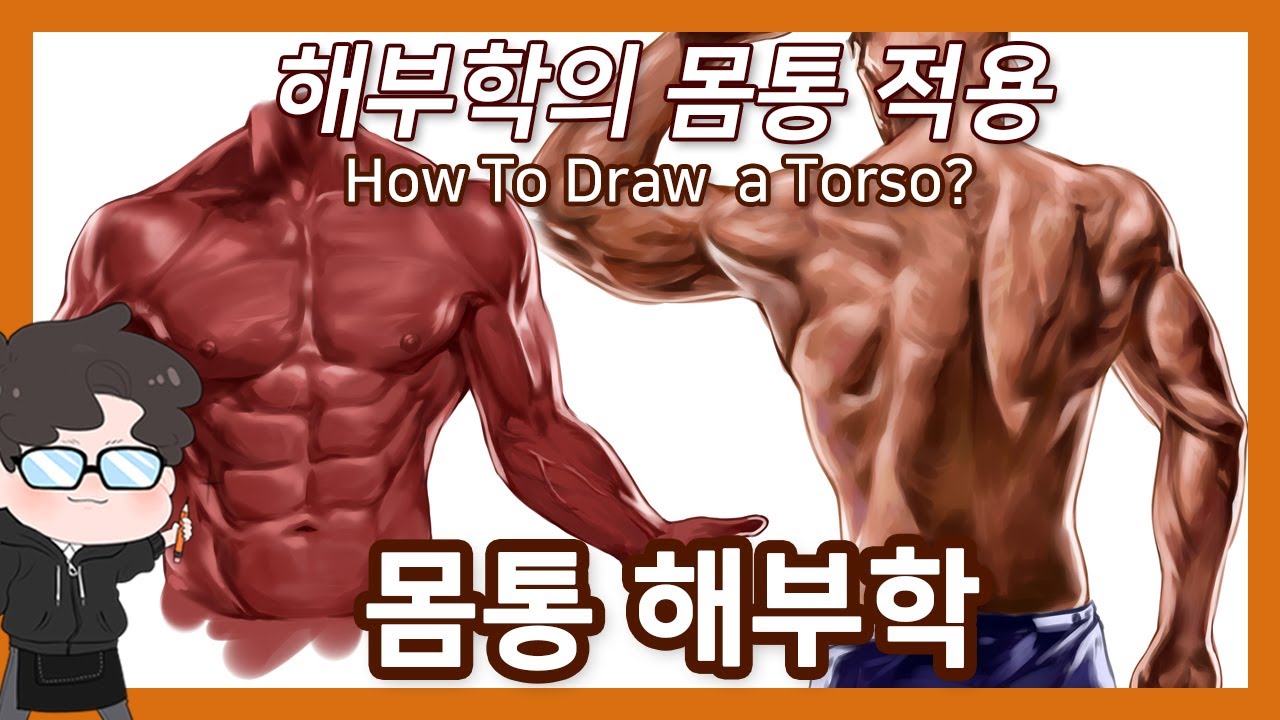 해부학을 몸통에 적용해보자! - 몸통해부학 -How To Draw A Torso? 오쌤인체해부학(Anatomy Teacher O)