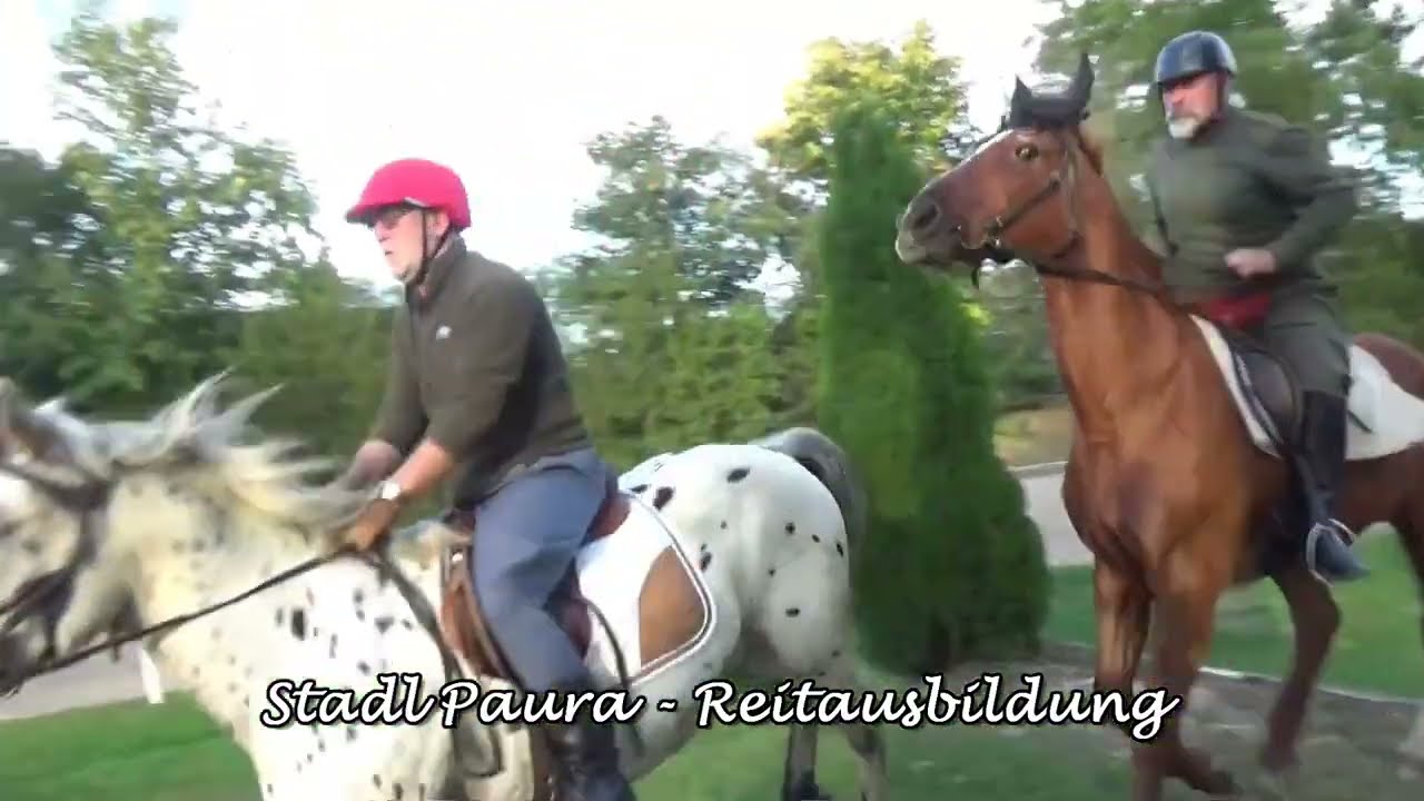 Ausstellung Heldenberg 350 Jahre Dragonerregiment 2