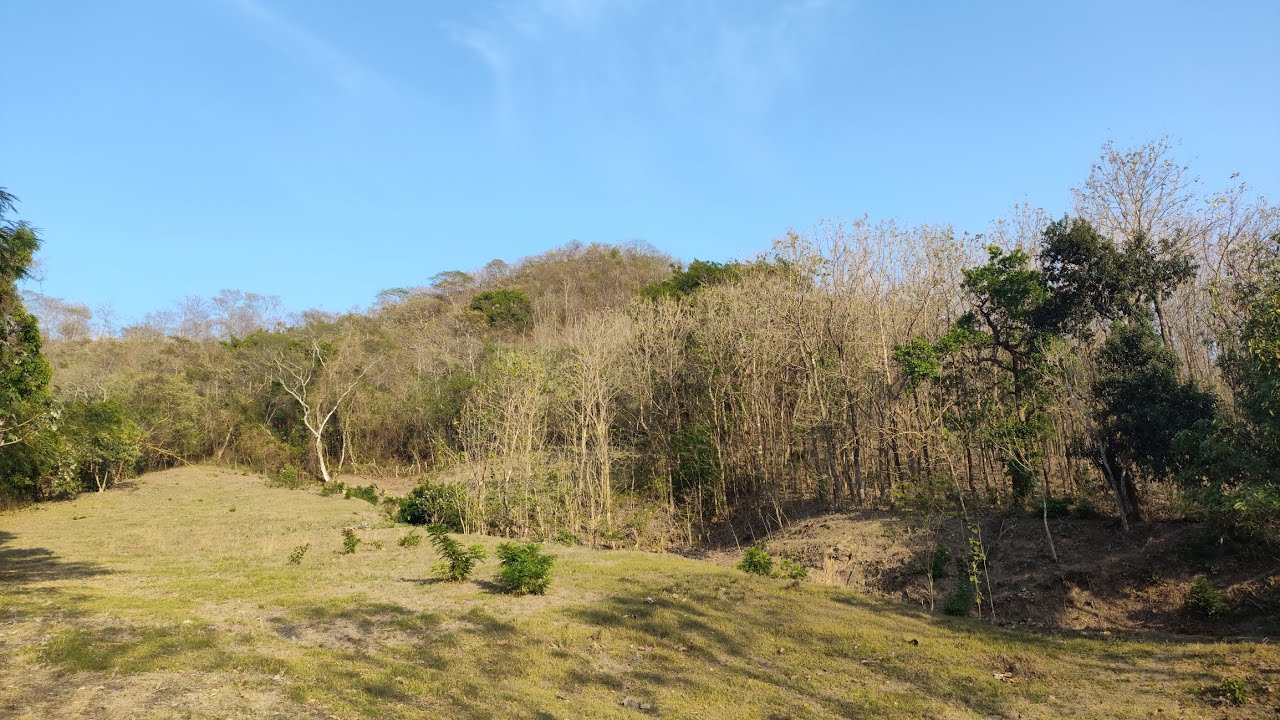 As&iacute; es la vida en el campo en El salvador 🌳🥭🇸🇻