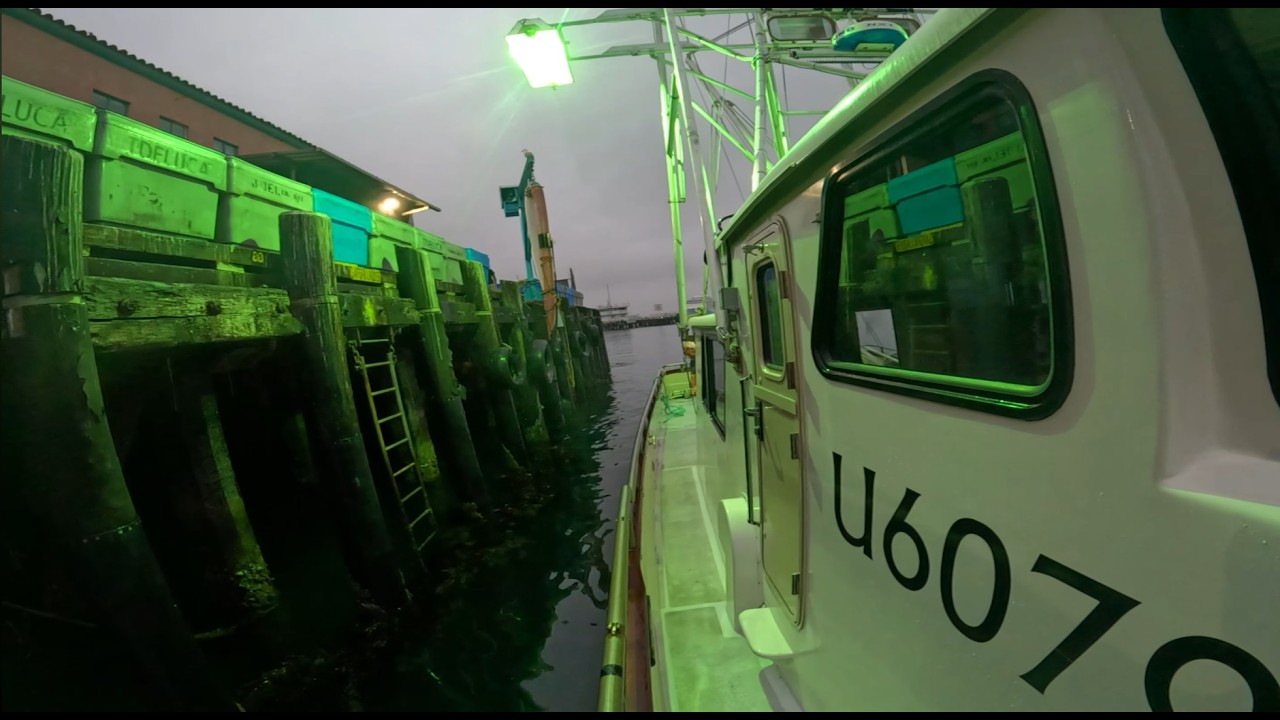 Squid Fishing out of Kings Harbor