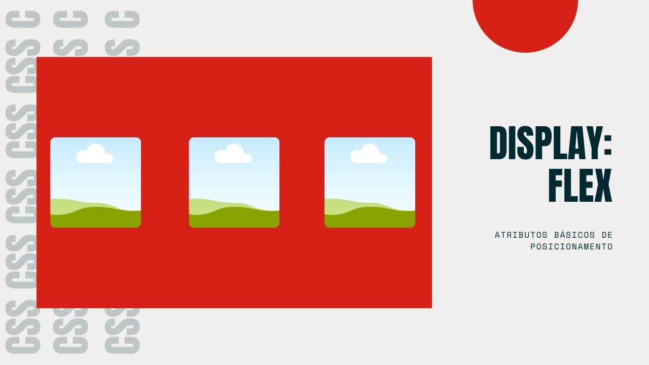Entendendo o básico de display : flex