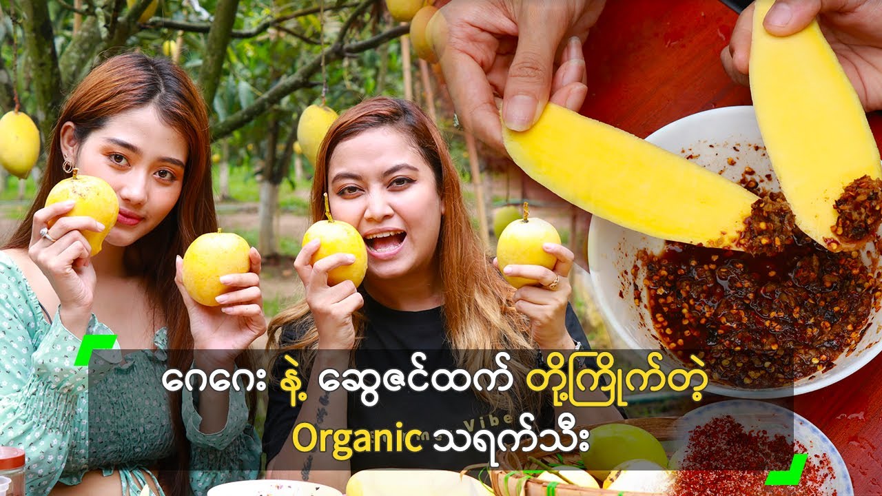 ဂေဂေး နဲ့ ဆွေဇင်ထက် တို့ကြိုက်တဲ့ Organic သရက်သီး