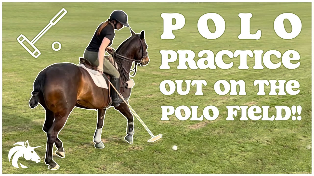 BARN VLOG | Hitting the POLO BALL out on the Field!! | Hailey Liberty