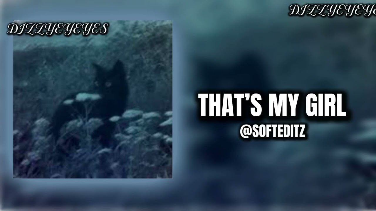 | EDIT AUDIO THAT GIVE BLACK CAT| 🐈‍⬛🪶🐾￼🎵🎶￼
