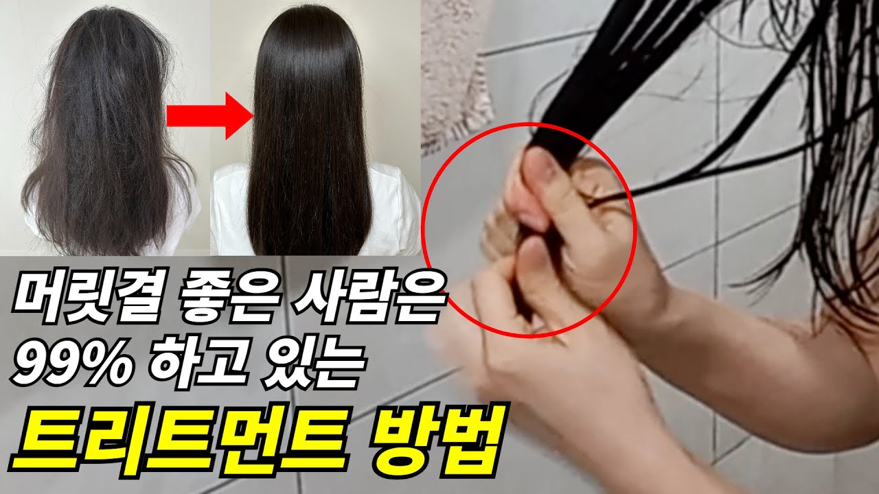 광고❌ 극손상모도 즉시 머릿결 좋아지는 방법｜트리트먼트 제대로 하는 방법｜헤어팩 사용법｜린스 차이점