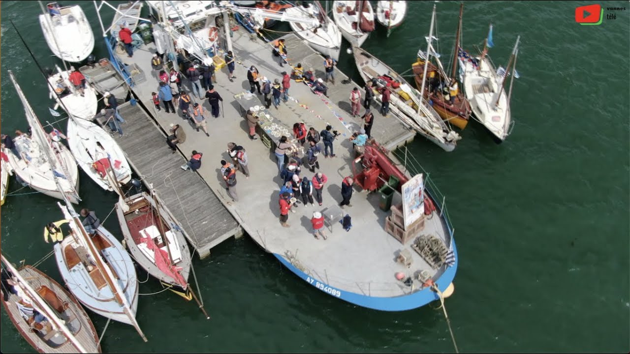VANNES  |  La Semaine du Golfe 2023  / Les bonnes Huîtres | Vannes Télé