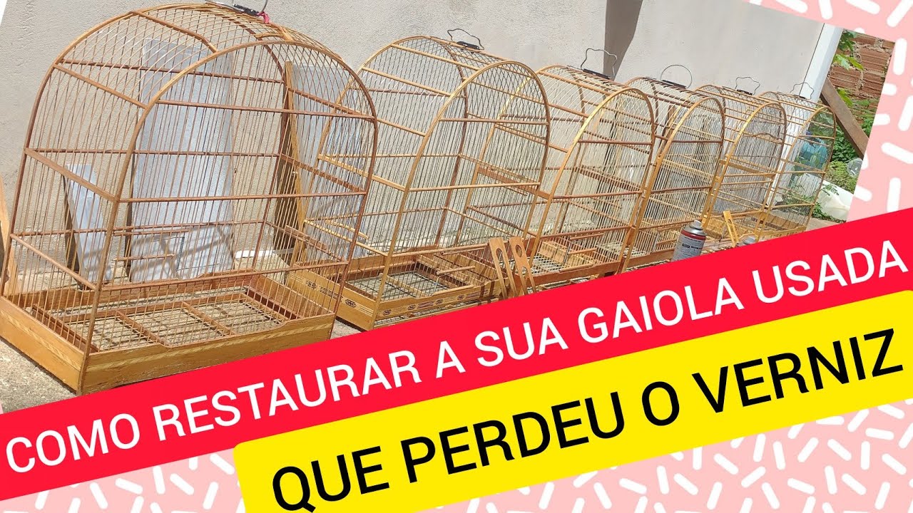 COMO RECOMPERAR A SUA GAIOLA QUE PERDEU O VERNIZ