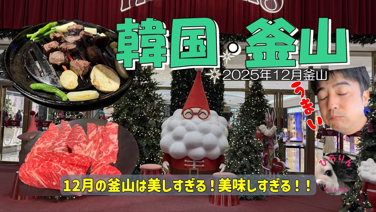 釜山旅2025年12月韓国・釜山を楽しむ！！美味しい牛肉・西面イルミネーション・お得なホテル・釜山実弾射撃場！！「ひらりんちゃんねる」熊本情報・韓国旅行・フレンチブルドッグ