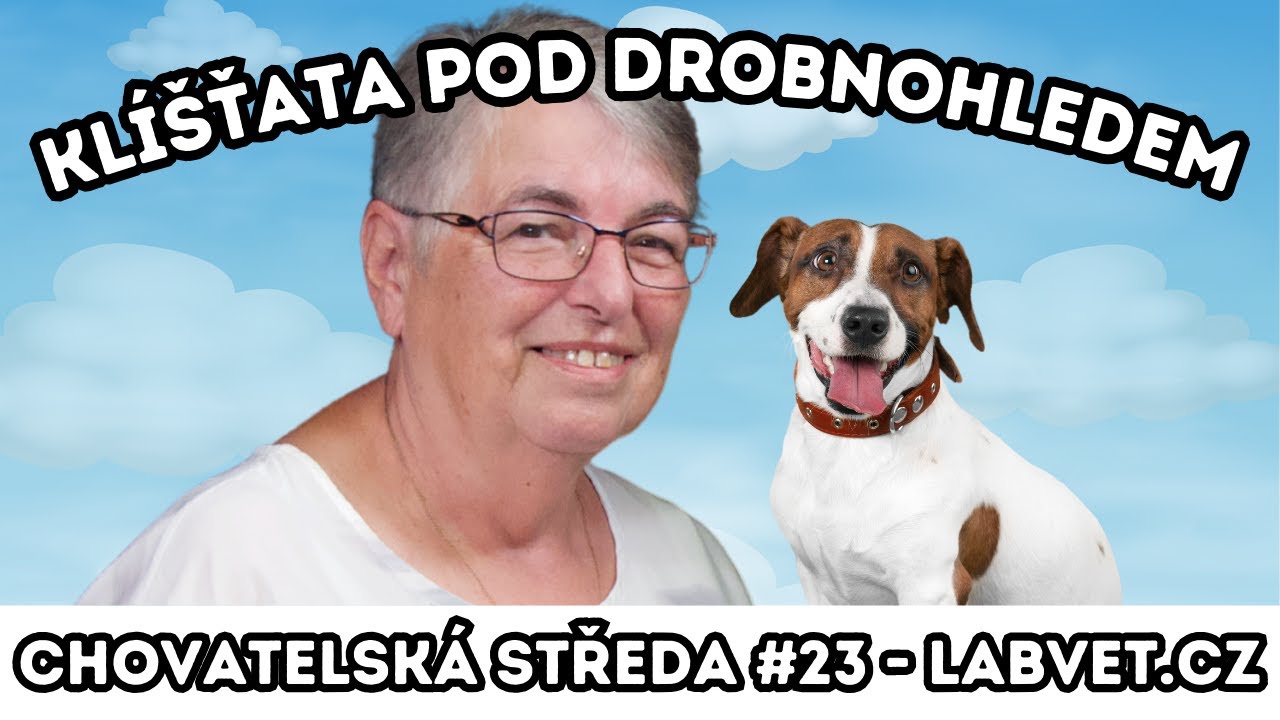 🕷 KLÍŠŤATA pod drobnohledem 🕷  | Chovatelská středa #23