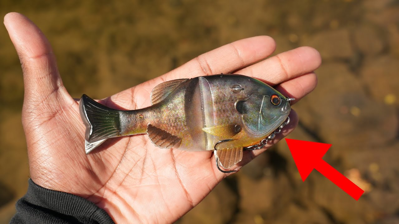 Эта японская мягкая скользящая приманка Bluegill Glide меняет правила игры!