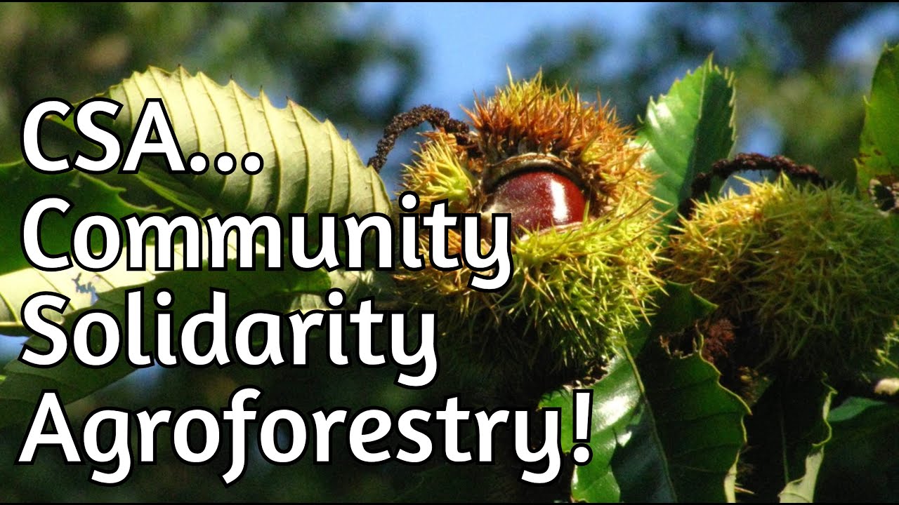 CSA - Community Solidarity Agroforestry!