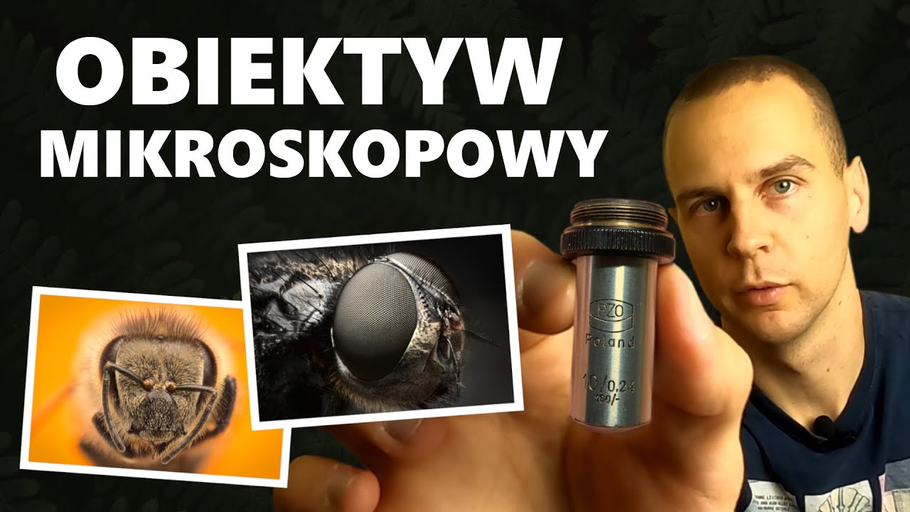 👽 Makrofotografia obiektywem mikroskopowym PZO 10x techniką focus stacking.