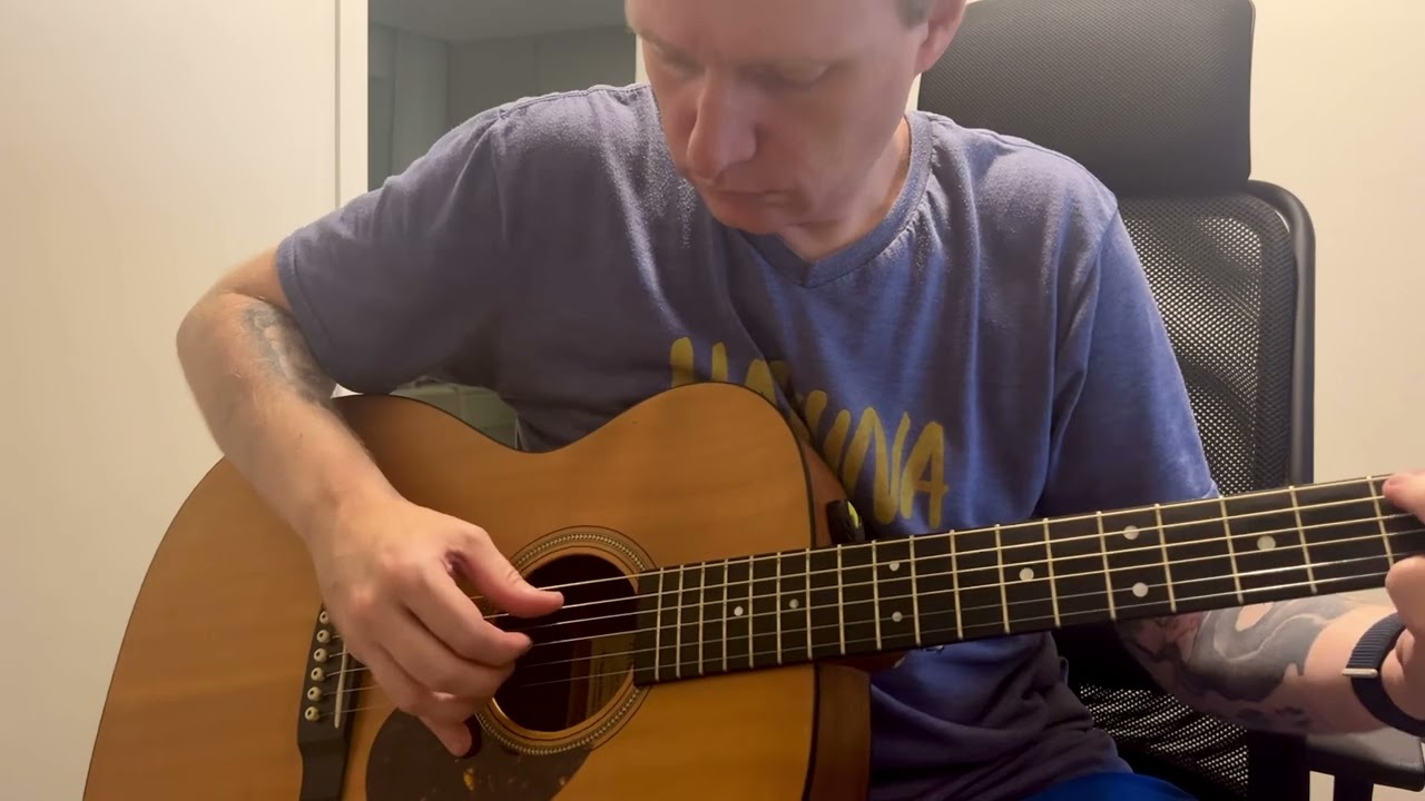 Martin USA OM-16GT 2002