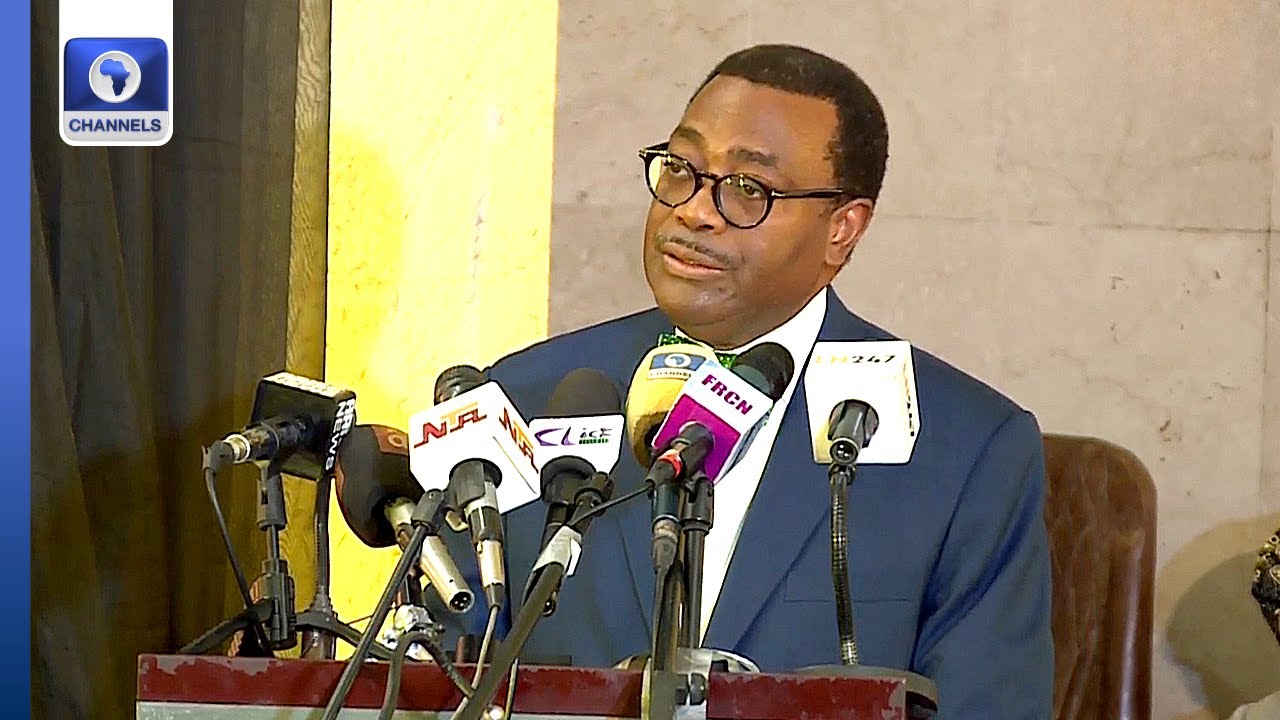 [Full Speech] AfDB To Establish $100m Investment Bank For Nigerian Youths  - Adesina
