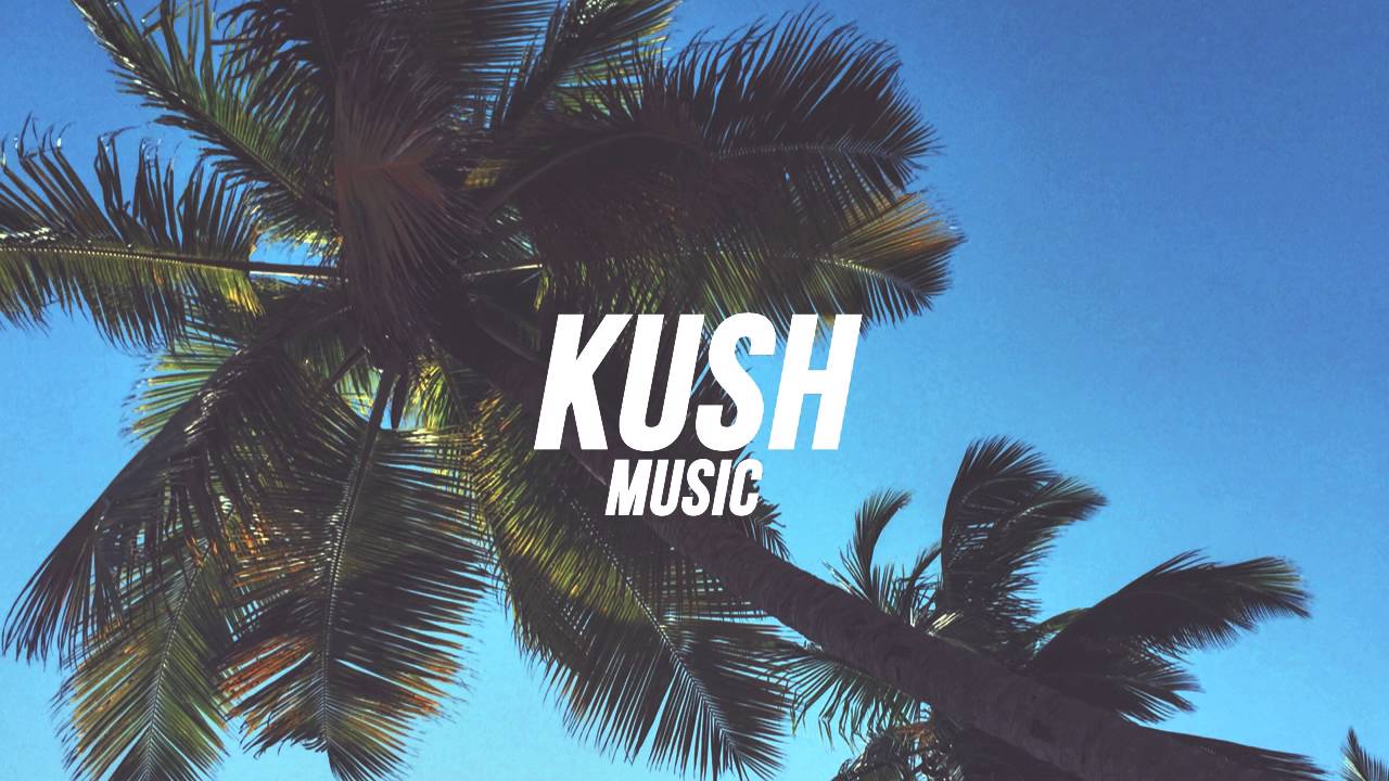 FlyBoy - Maze (feat. Gavrielle & Jake Newton)