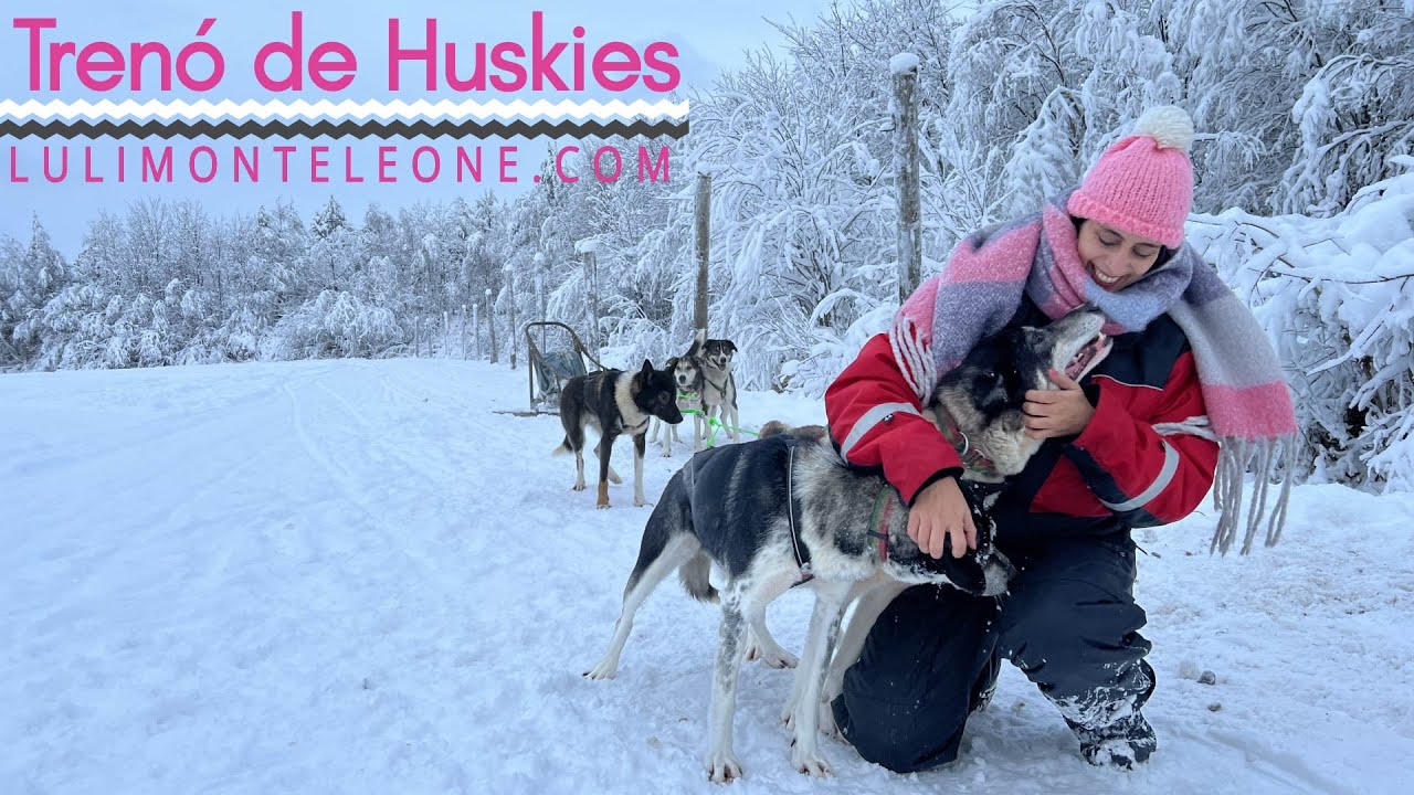 Dirigindo um tren&oacute; de Husky na Finl&acirc;ndia!