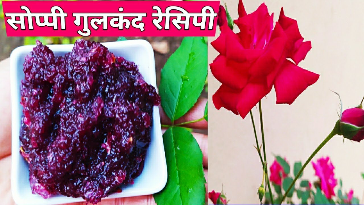 🌹सोप्प्या पद्धतीने बनवा गुलकंद 🌹 easy gulkand recipe🌹 rose flower jam 🌹 Gulkand recipe 🌹 Rose petals