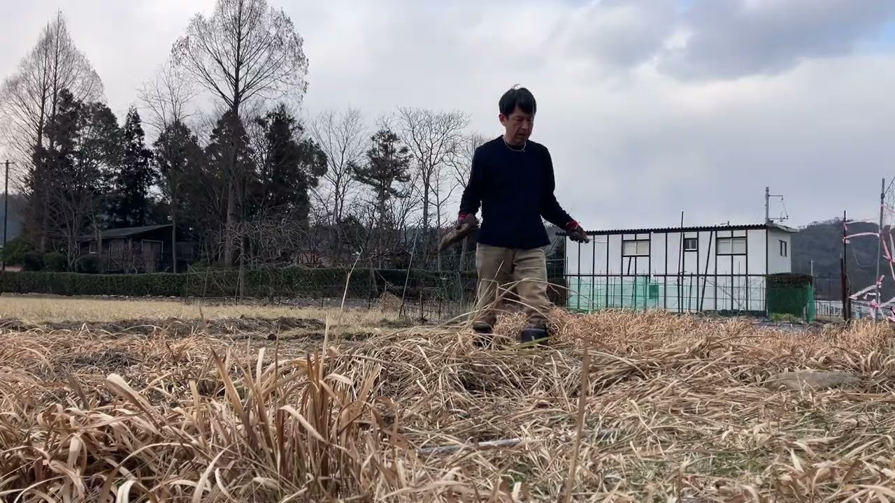 令和8年2月18日。明日は、畑作りする時間なさそうなので、今日は仕事終わりにもうひと頑張り