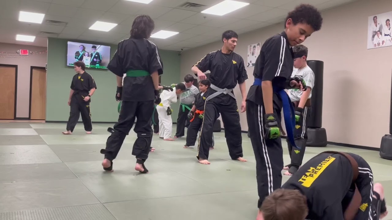 FRONT BEAR HUG ,FRONT BREAK FALL/ PIVOT , ROUND HOUSE KICK (PRACTICE)