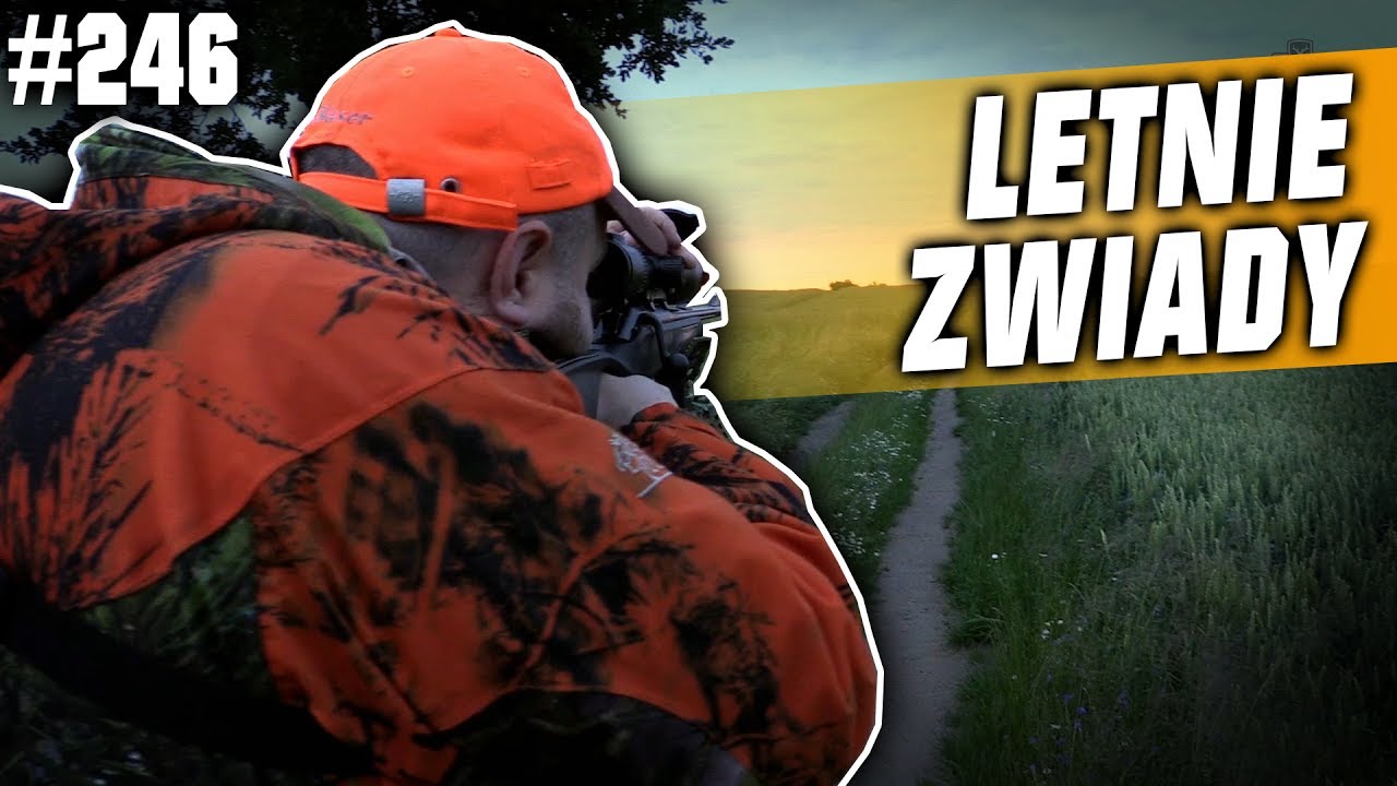Darz Bór odcinek 246 - Letnie zwiady