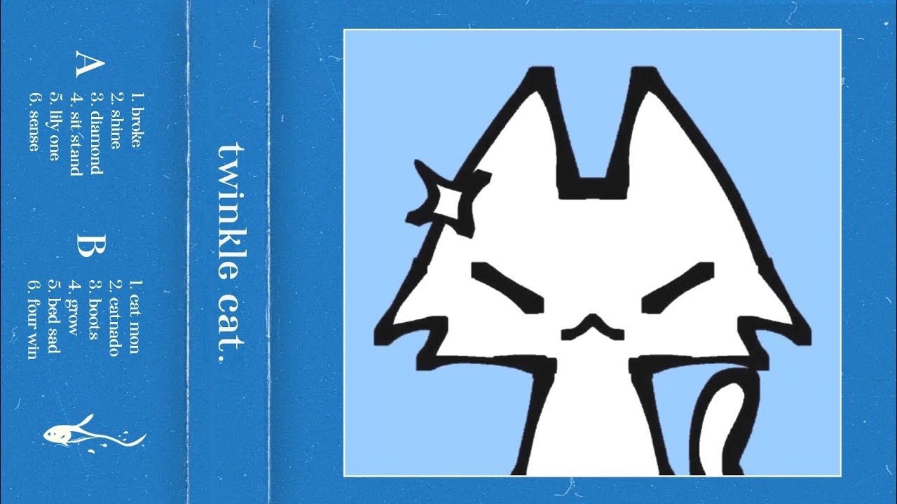 twinkle cat.