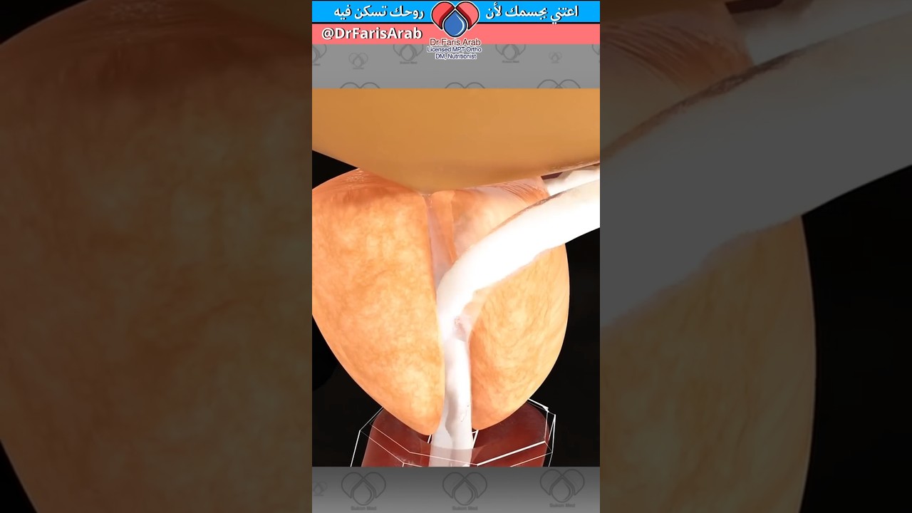 هل لكثرة الجماع والقذف فوائد صحية للرجل؟