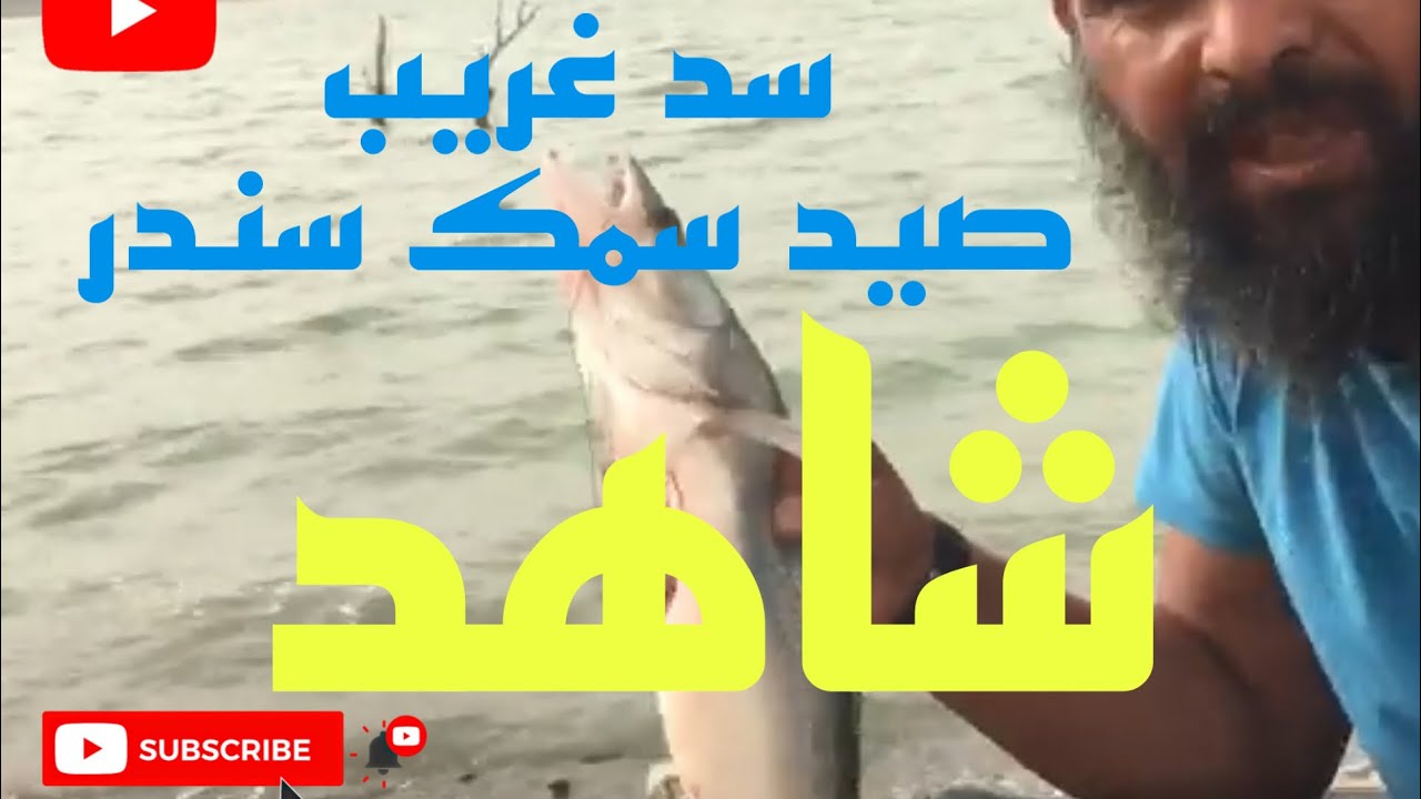 أحسن طريقة صيد سمك سندر