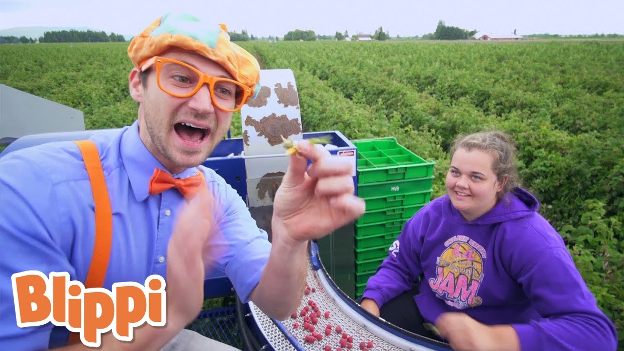 Blippi Explores the Raspberry Factory - Blippi Explores | Educational Videos for Kids