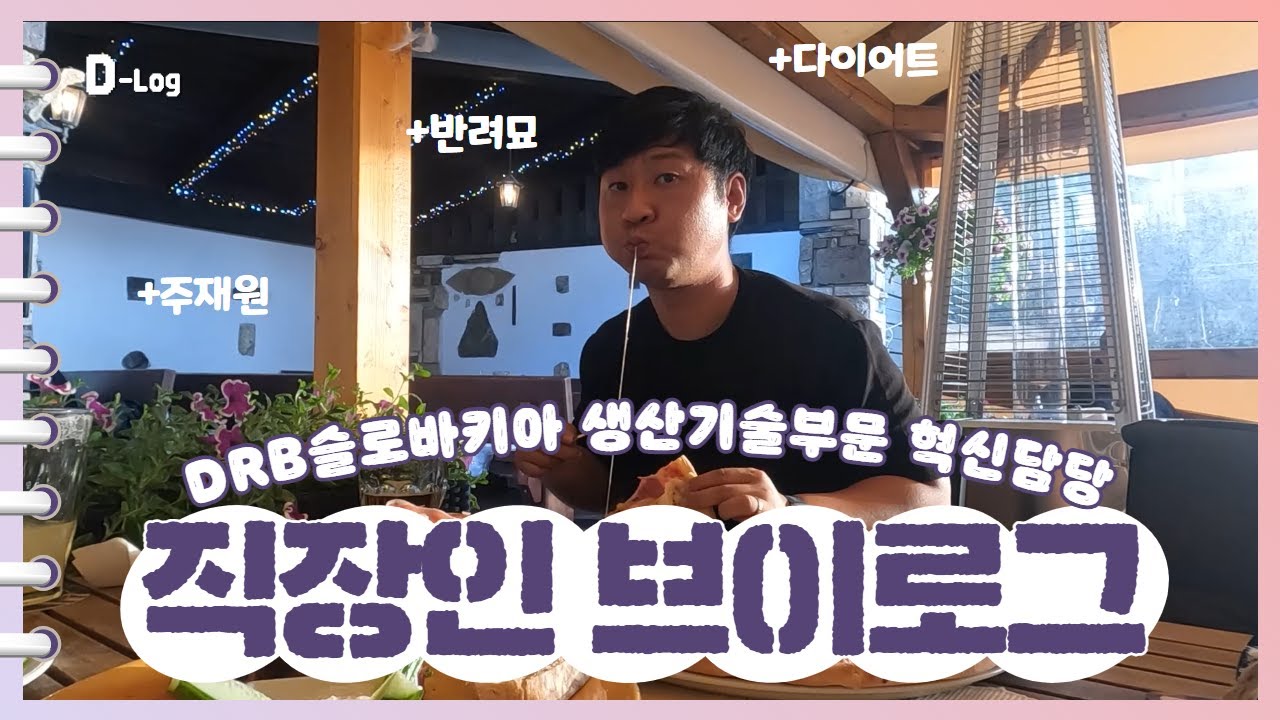 [D-Log] 직장인 브이로그ㅣ7편ㅣDRB슬로바키아 생산기술부문 혁신담당 서정환 님ㅣDRB슬로바키아