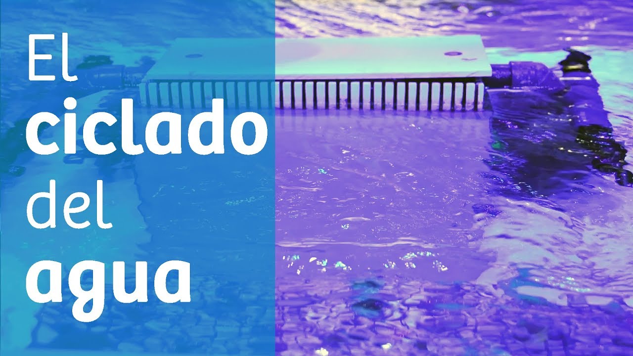 Ciclado del agua · Guía para ciclar tu acuario 🌀