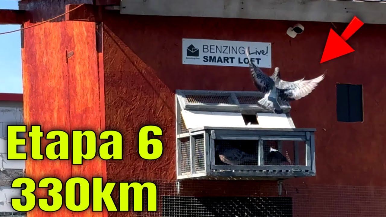 Etapa 6 • Bratigovo 330km | Cea mai grea etapa de pana acum! 7/14 acasa!
