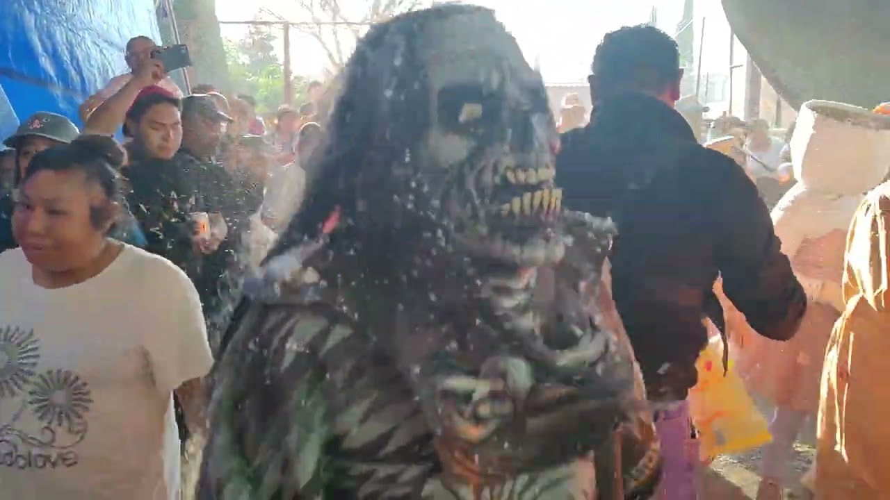 Carnaval de El Toro de San Francisco Acuexcomac 2026