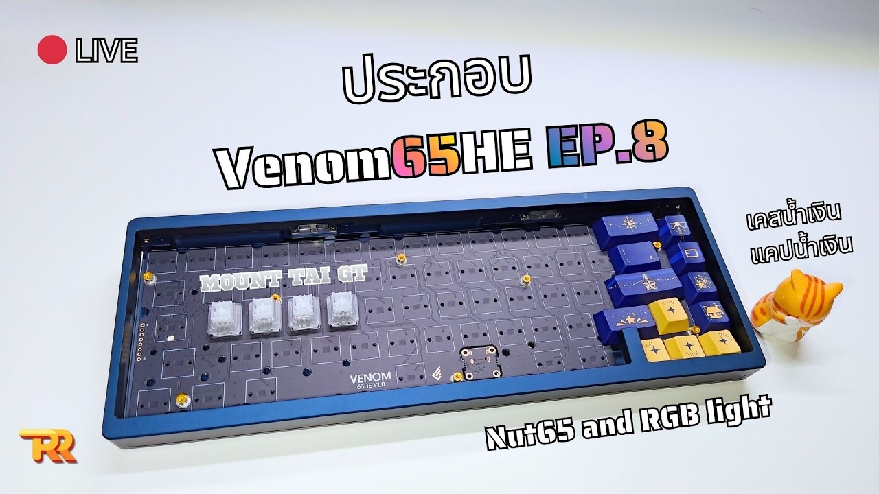 🔴 ประกอบ VENOM 65 HE EP.8 | Nut65 สีน้ำเงิน | Mount Tai GT | Custom DB + RGB Module | Suisei Keycap