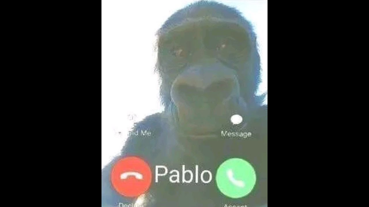 fazendo nada