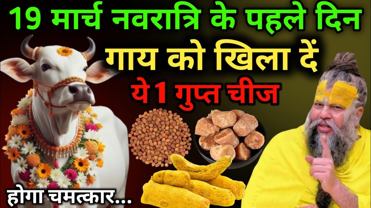 19 मार्च नवरात्री के पहले दिन चुपचाप गाय को खिला दें 1 छोटी सी चीज 1 महीने में करोड़पति बन...