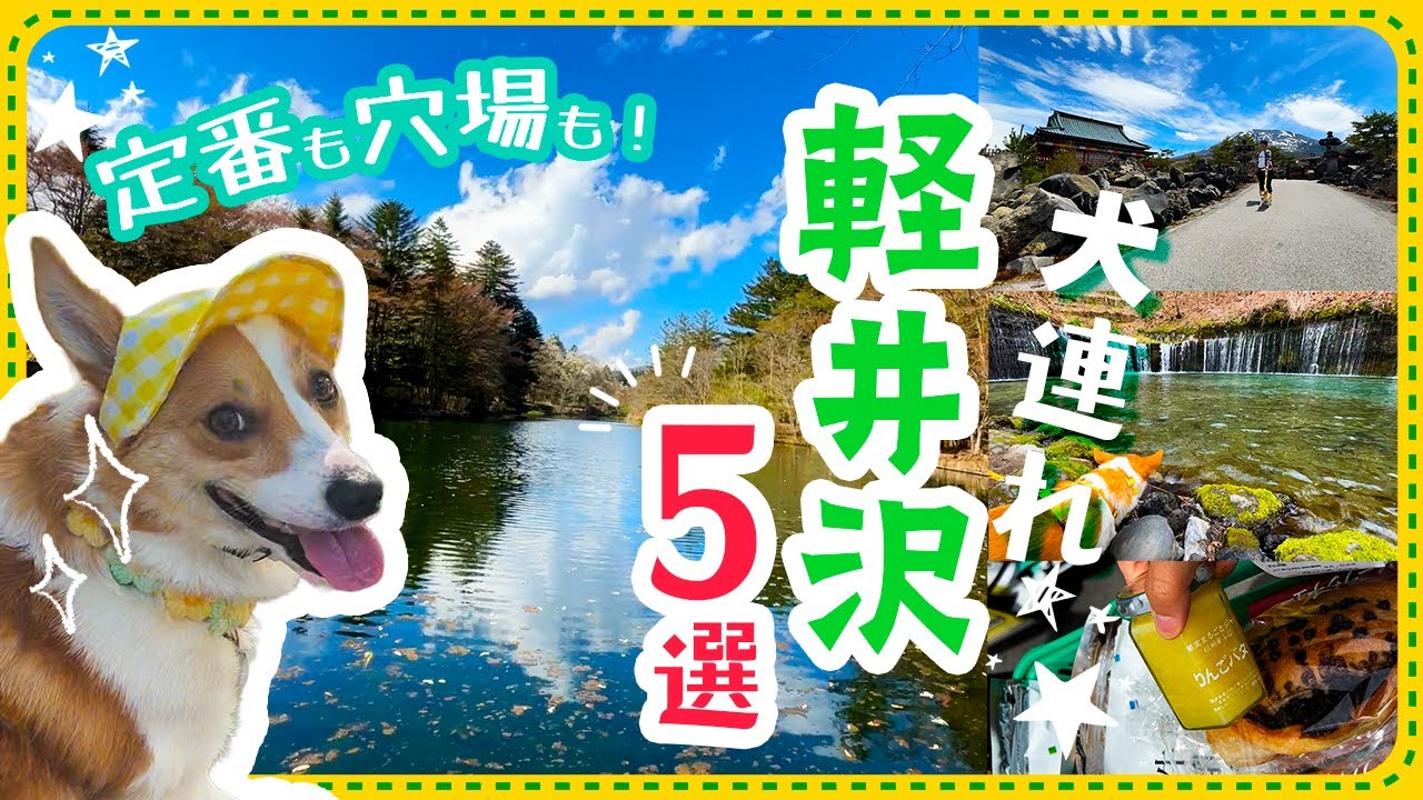 【犬連れ軽井沢】観光スポット5選！鬼押出し園・白糸の滝・あのツルヤも！30分で丸分かり！【保存版】
