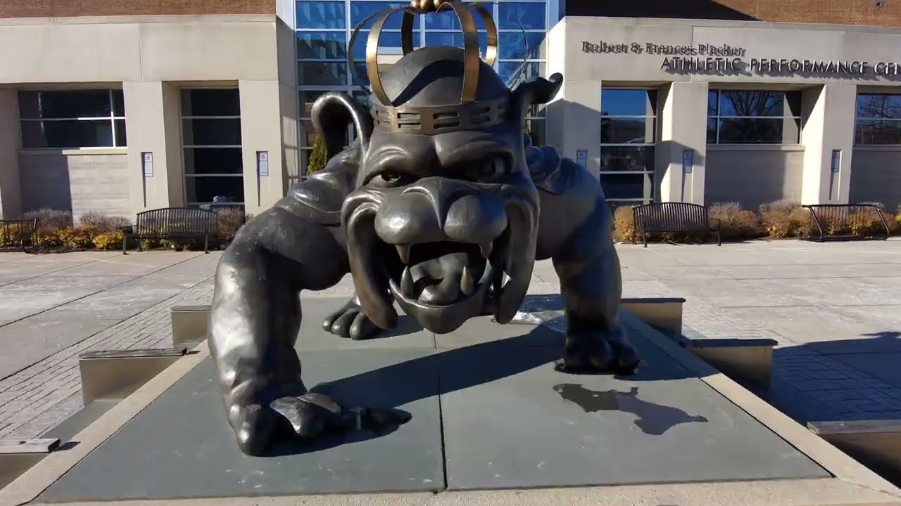 JMU DUKE DOG THAW