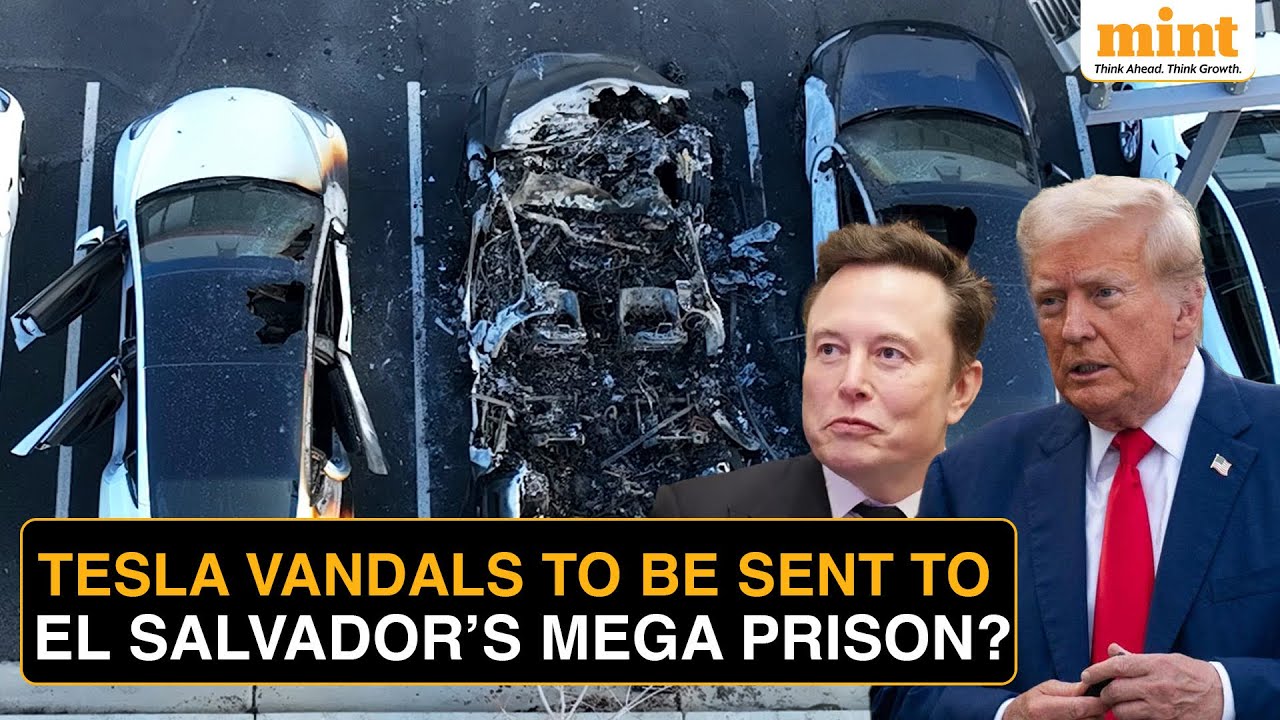 Tesla Vandalism: Trump May Send Musk’s Enemies To The World’s Most Feared Prison
