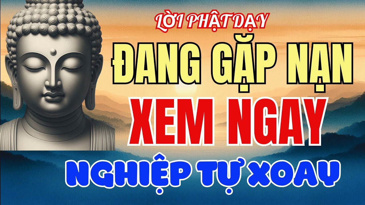 🎧Đang Gặp Nạn Hãy Nghe Để Xoay Chuyển Nghịch Cảnh - Lời Phật Dạy (Tập 2)