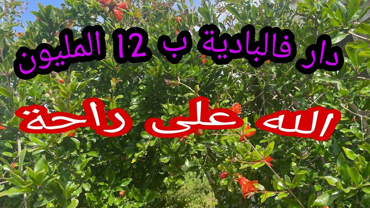 🔥عرض عاجل 🔥منزل مستقل ب 12 المليون قااااابل للنقاش 🤯 وفيها الماء والكهرباء 👌