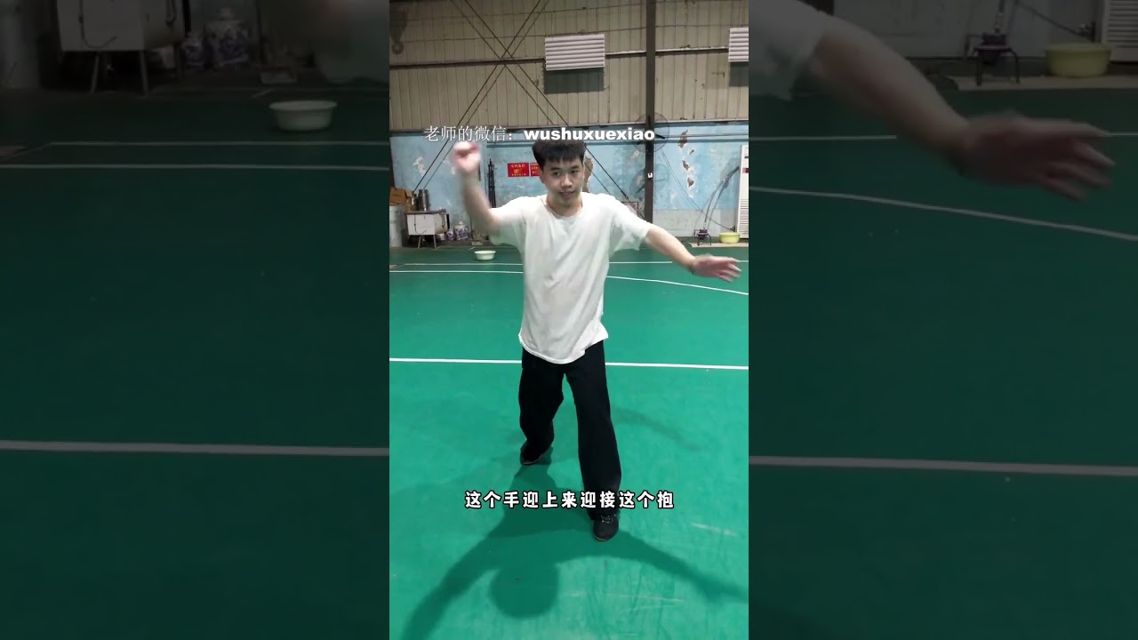 태극권 수업, 孟村八极 行劈拳精讲6 行劈精讲4 1080p